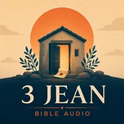 3 Jean