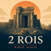 2 Rois